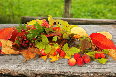 Herbstliche Impressionen (3) Herbstliche Impressionen (3)