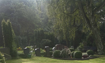 Friedhof im Morgenlicht