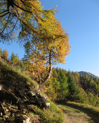 Der Herbst aus Bergsicht (5)