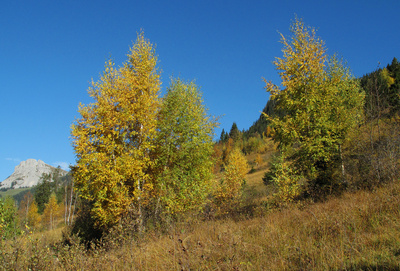 Der Herbst aus Bergsicht (6)