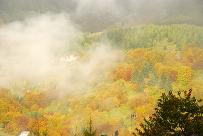 Herbstwallen