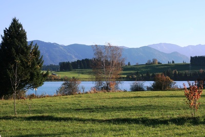Herbst am Lechbrucker See
