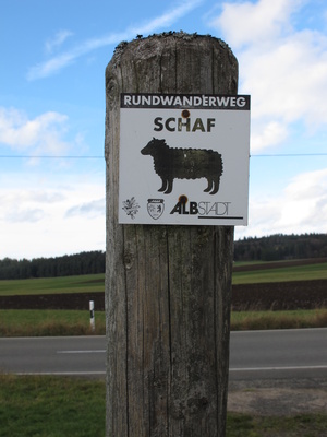 Wanderweg für Schafe?