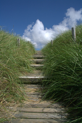 Amrum