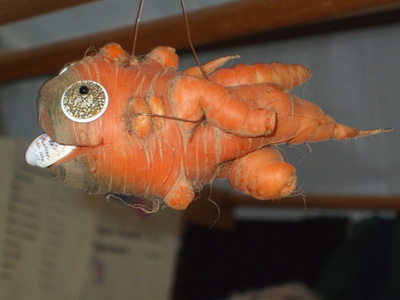 Karottenfisch auf dem Rüeblimärt in Aarau