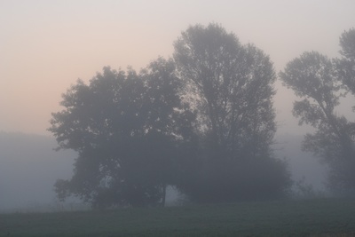Nebelmorgen