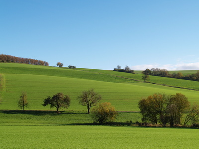 Sonniger Herbstnachmittag