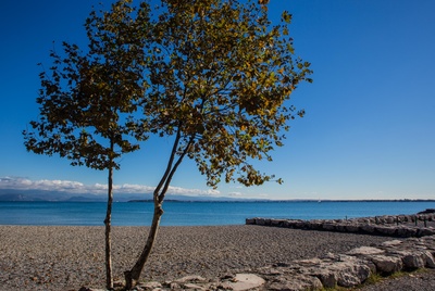 Herbst am Gardasee 2