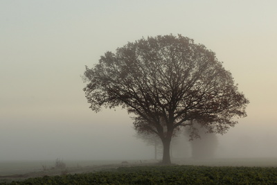 morgens unterwegs