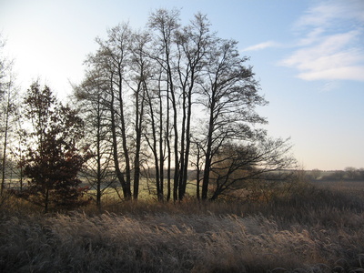 Landschaft im Dezember