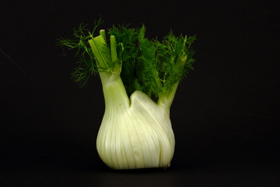 Fenchel 10