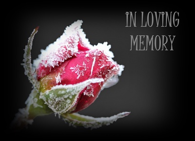 Kostenloses Foto In Loving Memory Pixelio De