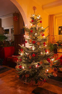 Der Weihnachtsbaum 2013