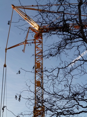 Natur und Technik