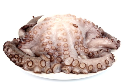 Oktopussy 1