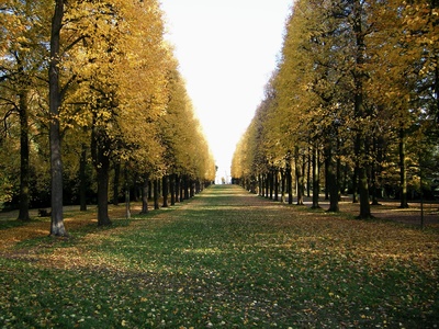 Herbstpark