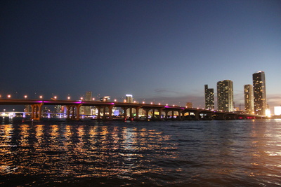Miami skyline night lights