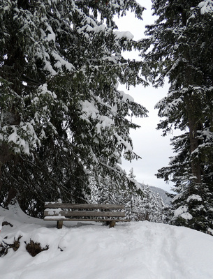 Lauschiger Rastplatz