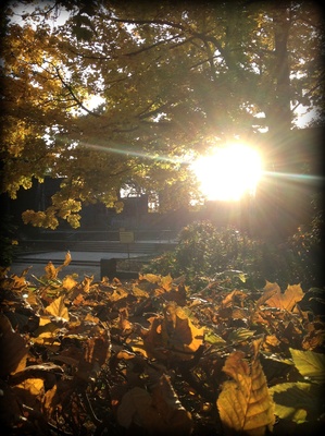 Sonne im Herbst
