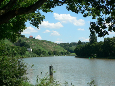 Nahe am Neckar