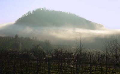 Kaiserstuhl, Schlossberg umrahmt von Nebel