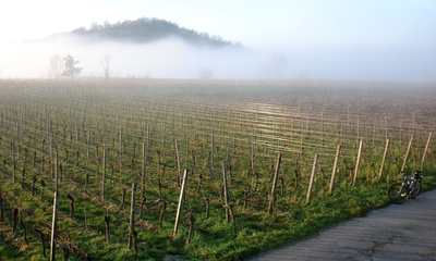 Schlossberg im Nebel