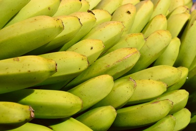 Bananen ohne Ende
