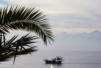 Antalya - Ausflugsboot, Taurusberge, Palmwedel