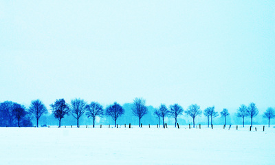 Blaue Bäume
