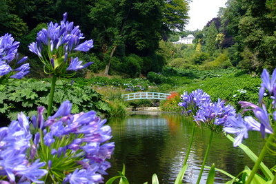 England - Englischer Garten an der Kanalküste