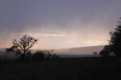 Duestere Landschaft im Regen