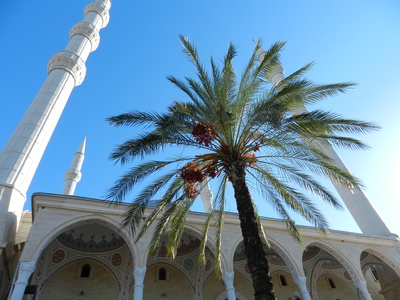 Külliye Moschee