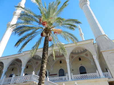 Külliye Moschee