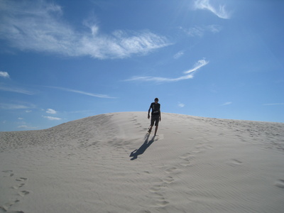 Råbjerg Mile, die Wanderdüne im Norden Dänemarks