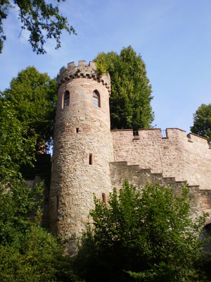 Schloss Ortenau
