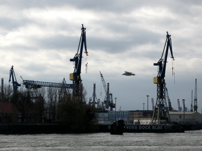 Kräne im Hamburger Hafen