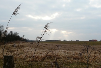 Lichtstreif am Horizont