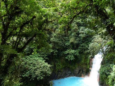 Urwald-Wasserfall
