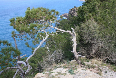 Steilküste Mallorcas