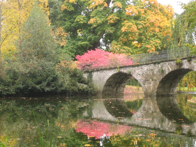 Herbstzauber im Schlosspark