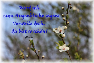 Goethes-Frühling