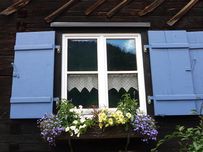 blaue Fensterläden