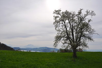 Schlecht Wetter, aber Sonne drückt