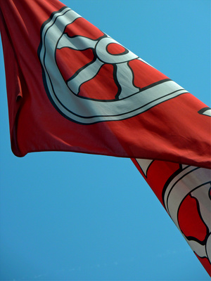 Fahne Mainz