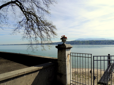 Frühling am Genfersee 6