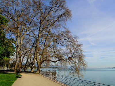 Frühling am Genfersee 5