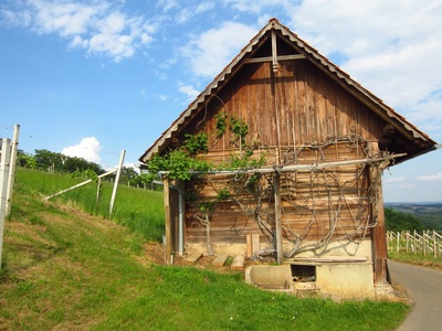Holzhütte im Weinberg