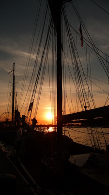 Hanse Sail im Sonnenuntergang