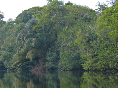 Urwaldfluss in Costa Rica