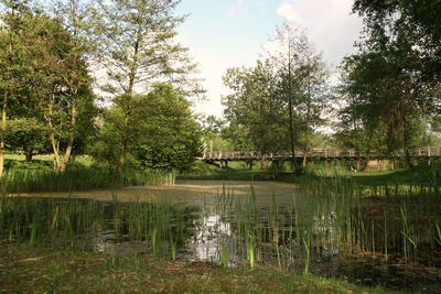 grüne oase in der stadt